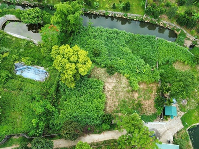 Bán lô đất bám suối   cư yên, lương sơn, hòa bình 1