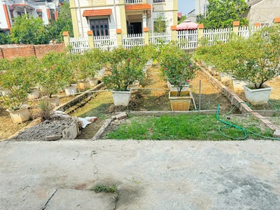 Bán đất thôn trung hậu đoài, tiền phong, mê linh - sổ đỏ chính chủ, vị trí đắc địa 0