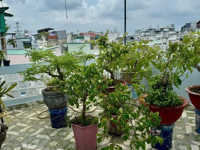 Chính chủ - gấp bán p8 gò vấp - nhà 4 tầng btct - 2 st rộng lớn - nhà đẹp - 4pn lớn - bán 5.65 tỷ - 4