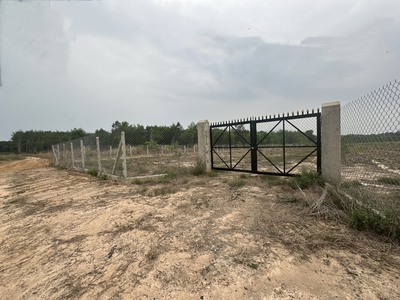 Bán 23.000m2 đất 3 mặt tiền đường đất xã minh hòa, dầu tiếng, bình dương 0