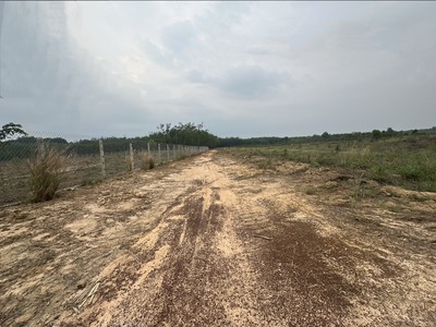 Bán 23.000m2 đất 3 mặt tiền đường đất xã minh hòa, dầu tiếng, bình dương 4