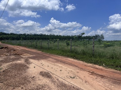 Bán 23.000m2 đất 3 mặt tiền đường đất xã minh hòa, dầu tiếng, bình dương 2