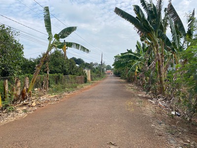 Bán lô đất đẹp 2978m2  1300m2 thổ  xã láng dài, đất đỏ, bà rịa 2