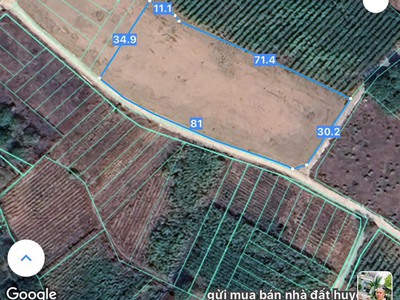 Bán lô đất đẹp 2978m2  1300m2 thổ  xã láng dài, đất đỏ, bà rịa 0