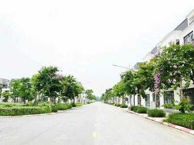 Khu đô thị hud mê linh centra bảng hàng biệt thự và liền kề 3
