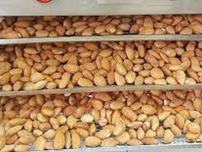 Máy sấy nông sản có thực sự nâng cao giá trị kinh tế cho hạt Hạnh Nhân 0