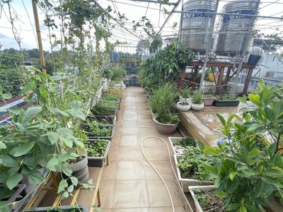 Bán nhà lô góc 2 mặt tiền đường lớn linh trung, thủ đức   111m    giá 20.5 tỷ 3