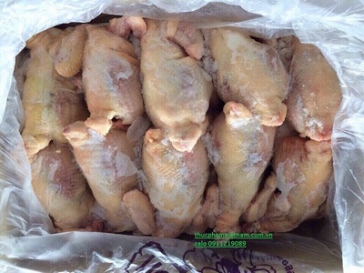 Cung Cấp Gà Nguyên Con Đông Lạnh   Giao Sỉ, Giao Nhanh Nội Thành Hà Nội 0