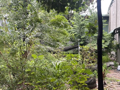Đất thổ cư 870m2 - 26.5 tỷ - trần thị hè, hiệp thành, q12 - cơ hội đầu tư vàng 0