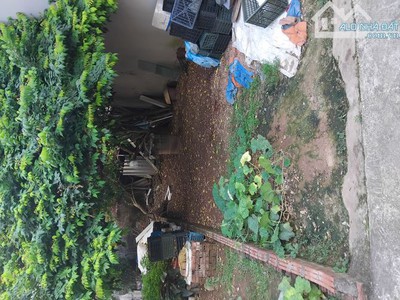 Hiếm, chỉ 6.8 tỷ sở hữu ngay 52m2 đất ở tu hoàng, nam từ liêm 0