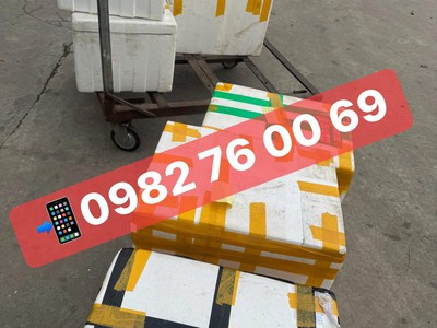 Cung cấp kem cân, kem kí, kem cây, kem hộp, vỏ ốc quế, vỏ kem các mẫu mã, bò bía , kem bông 6
