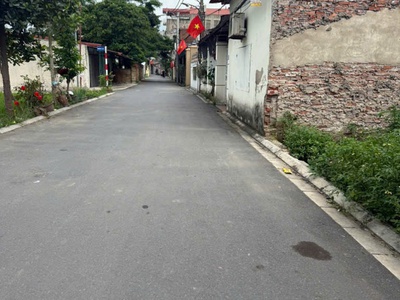 Sở hữu ngay lô đất đẹp - giá tốt - vị trí đắc địa tại sen hồ, lệ chi, gia lâm, tphn 1