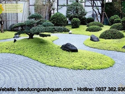 Cỏ sân bóng tự nhiên, sân golf dễ trồng SLL ở Đồng Nai, HCM 0