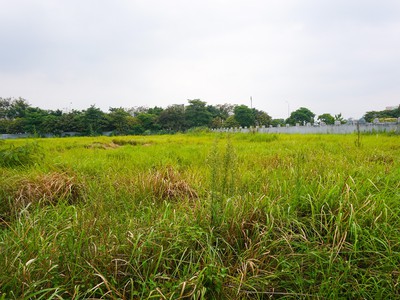 Bán 3500m2 đất cụm công nghiệp ninh hiệp, gia lâm, hà nội. lô 2 mặt tiền 0