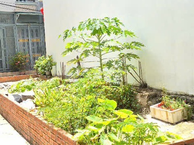 Bân gấp lô đất 3,8x13m lưu hữu phước quận 8 giá 3,2 tỉ nhỉnh 3