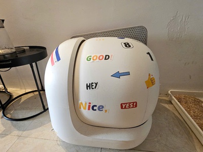 Bán 3 bé mèo anh lông ngắn có bố mẹ như hình   máy vệ sinh   lồng 1