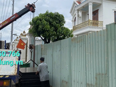 Ván ép phủ phim tại Rạch Giá, Phú Quốc Kiên Giang 1