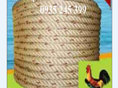 Dây bô thái lan giá sỉ TPHCM 1
