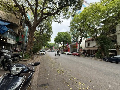 Phố Trần Hưng Đạo Mặt Tiền 9M lô Góc 3 Mặt Thoáng 6 Tầng 96 Tỷ 0