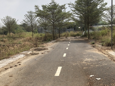 Bán 118m2 đất ở 1 sẹc nguyễn hoàng, xã trảng bom, tỉnh đồng nai 0