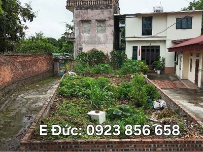 bán thổ cư nhỉnh 4 tỷ tại đông anh cách trục chính 8 bước chân 3