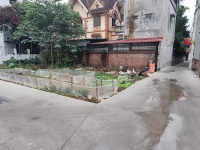 Bán đất 40.1m2 cổ dương tiên dương đông anh - thông ô tô - giá hơn 3 tỷ 4