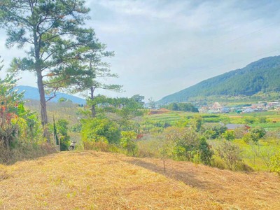 Đất nghỉ dưỡng thuộc hiệp an, đức trọng, Lâm Đồng 0