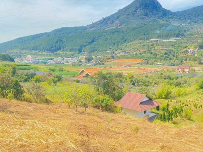 Đất nghỉ dưỡng thuộc hiệp an, đức trọng, Lâm Đồng 1