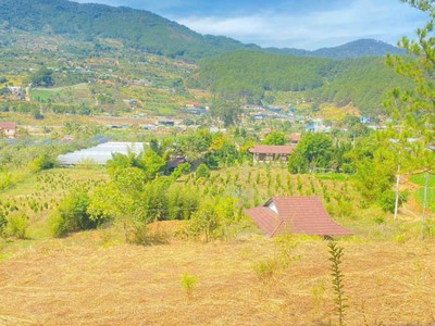 Đất nghỉ dưỡng thuộc hiệp an, đức trọng, Lâm Đồng 2