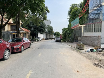 Bán đất mặt Phố Chính Trung 135,5m2 - Vị trí vàng, kinh doanh sầm uất, tiện ích đỉnh cao 1