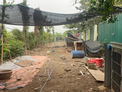 Cần bán 529M ĐẤT 4.2TỶ-Thạch Cầu Long Biên-mặt ngõ ô tô tải vào đất-cho thuê-đầu tư 0