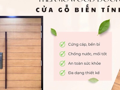 Cửa gỗ biến tính 0