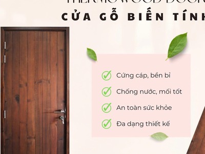 Cửa gỗ biến tính 2