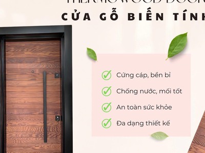Cửa gỗ biến tính 3