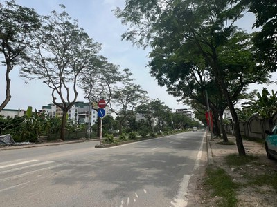 Hàng hiếm siêu hiếm - phải thật nhanh sở hữu mảnh đất và căn nhà này 1