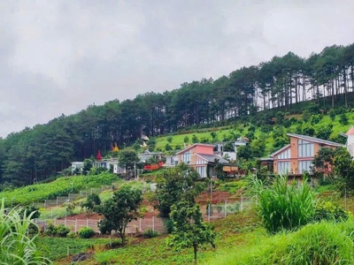 Đất đẹp - giá tốt - vị trí đắc địa tại thôn 2 mê linh, lâm hà, lâm đồng 1