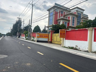 Bán đất mặt tiền 1,1ha đường bà điểm 4 2