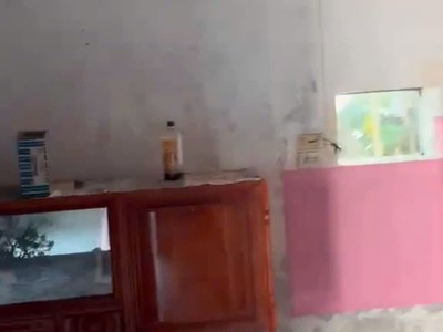 Chính chủ cần cho thuê nhà tại thôn 4, xã cao minh, huyện vĩnh bảo, hải phòng 2