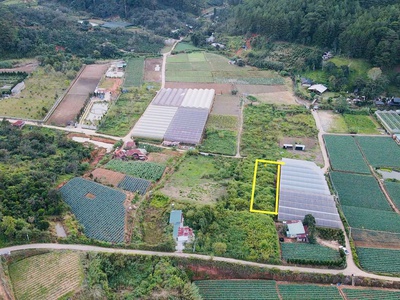 Đà lạt còn sót lại 1 lô sổ riêng gần 700m2 - đường bê tông lớn - giá đầu 2 chấm 2
