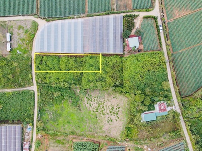 Đà lạt còn sót lại 1 lô sổ riêng gần 700m2 - đường bê tông lớn - giá đầu 2 chấm 0