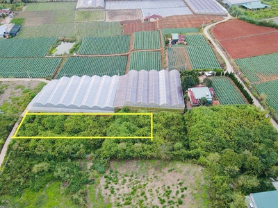 Đà lạt còn sót lại 1 lô sổ riêng gần 700m2 - đường bê tông lớn - giá đầu 2 chấm 1