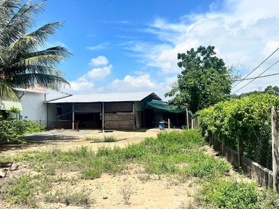 3 lô đất thổ xã Phước Thạnh, Củ Chi dt 99m2 giá 1,5 tỷ / lô 5