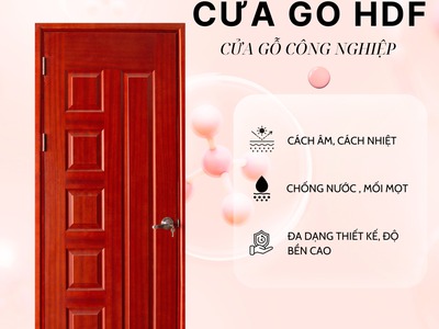 Cửa gỗ HDF  Saigondoor 0