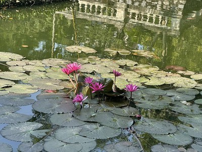 BÁN NHÀ QUANG TIẾN NAM TỪ LIÊM 36m 8,3 TỶ 6 TẦNG MT 3,6m. Ngỗ thông rông, nhà mới tinh, ô tô đỗ cửa. 3