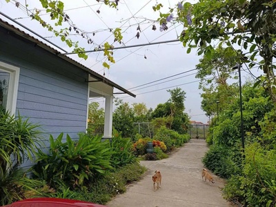  siêu phẩm đất nghỉ dưỡng view hồ   hồng vân, thường tín, hà nội  1