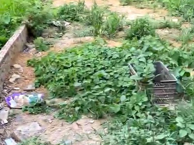 Sở hữu ngay đất đẹp - giá tốt - vị trí đắc địa tại thôn đồng lư, xã đồng quang, huyện quốc oai, 3
