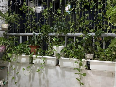  bán gấp căn hộ chung cư kim văn kim lũ   full nội thất xịn   giá tốt  2
