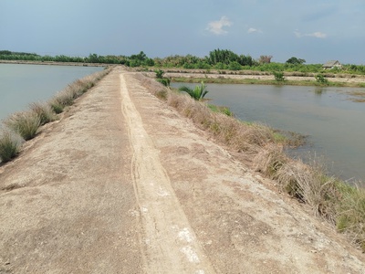 Bán đất chính chủ   gần trung tâm xã an thới đông, cần giờ 1