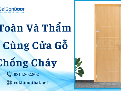 An toàn và thẩm mỹ cùng cửa gỗ chống cháy 3