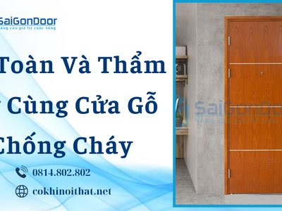 An toàn và thẩm mỹ cùng cửa gỗ chống cháy 4
